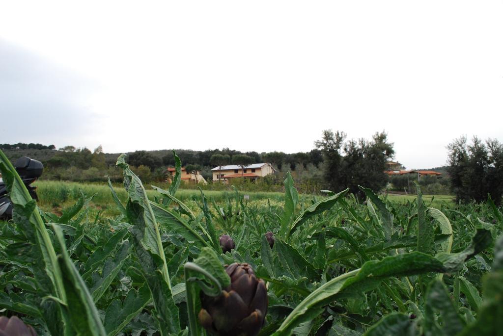 Agriturismo Val Di Nappo กาส์ตีจลิโอเน เดลลา เปสกายา ภายนอก รูปภาพ