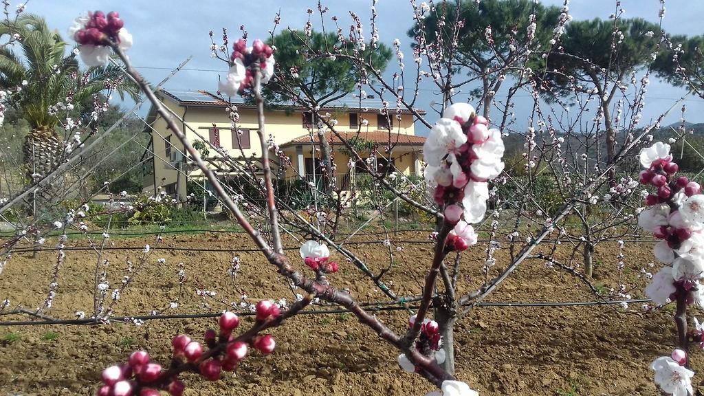 Agriturismo Val Di Nappo กาส์ตีจลิโอเน เดลลา เปสกายา ภายนอก รูปภาพ